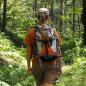 Gallitzin State Forest
