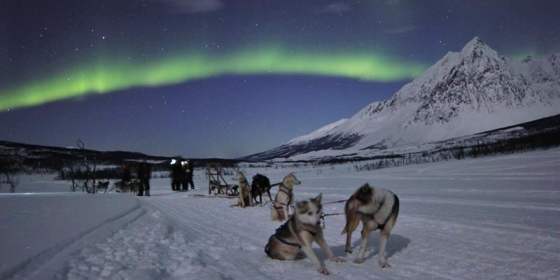 Dogsledding and Aurora - Tour in Lyngenalps