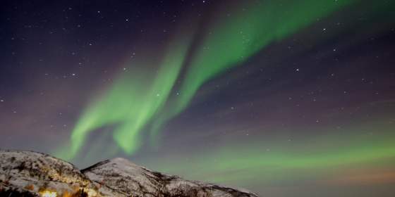 Northern Lights Experience with Sauna and Open Fire – Buvik Brygge (from Oct 15)
