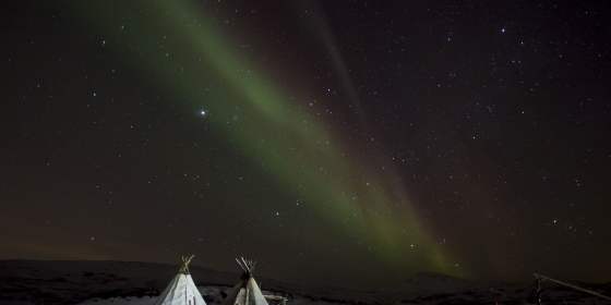 Northern Lights with Reindeer Sledding – Sami Adventure