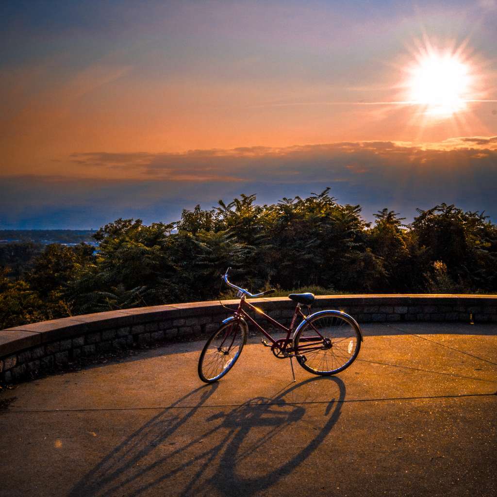 Bike and Shador
