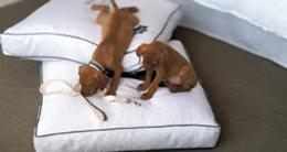 Heavenly Pet Beds