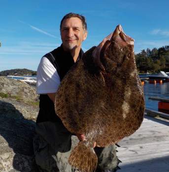 Big fish at Tregde Ferie in Southern Norway