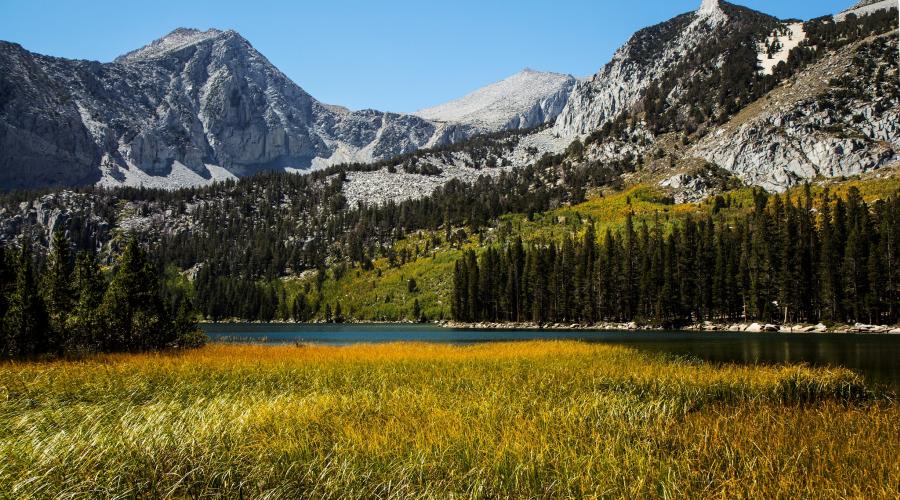 Davis Lake Fall Colors