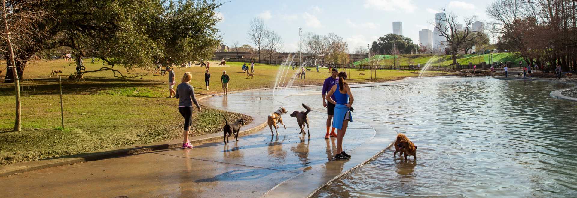 George Bush Dog Park George Bush Dog Park