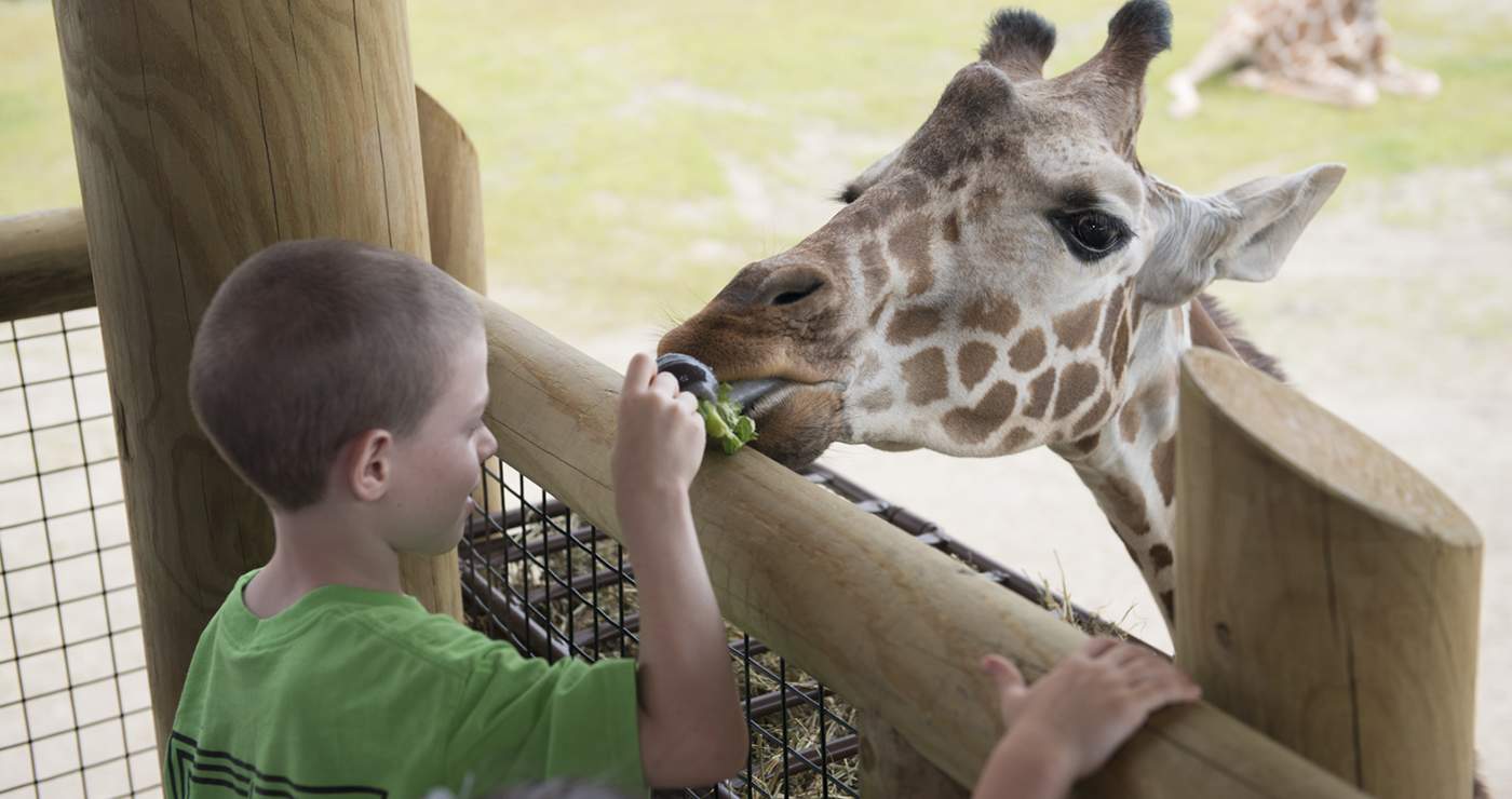 Experience Columbus Attractions