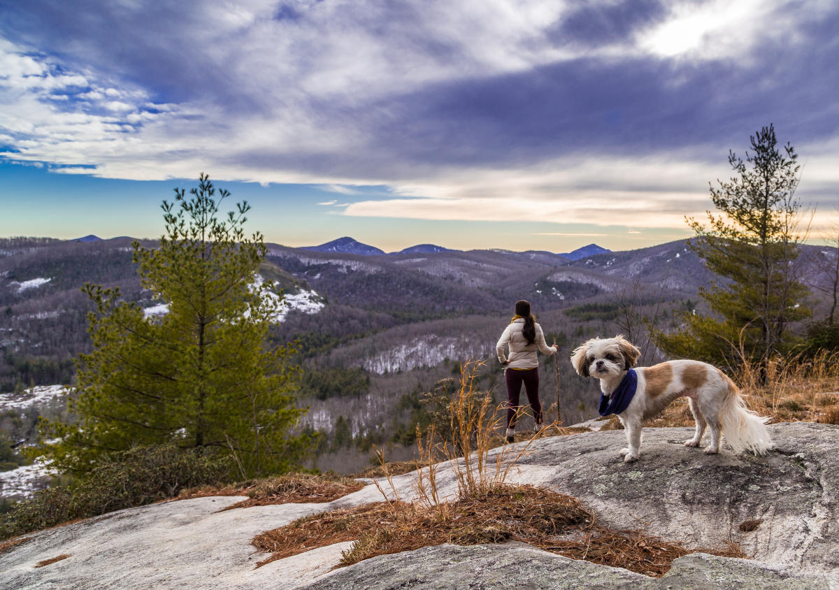 Warm Up 5 Great Winter Hikes Near Asheville
