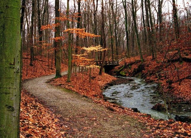 The Top 5 Fall Hikes In Greater Columbus
