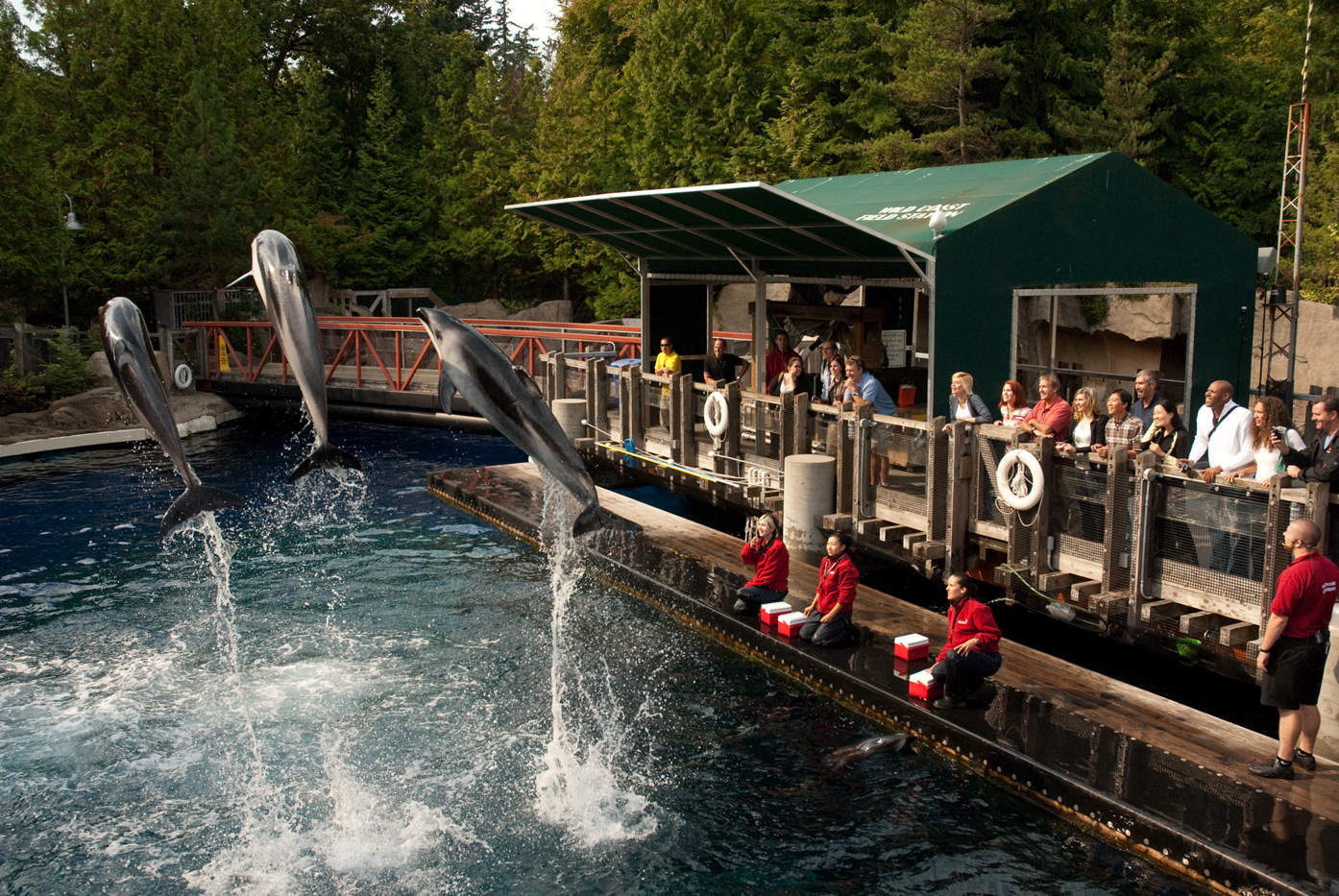 vancouver aquarium field trip