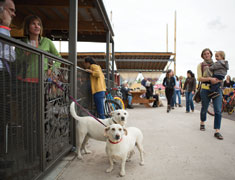 Railyard 2Ndstreetbrewery
