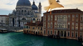 Venice, Italy (Image uploaded to Reddit by u/Roadkill80).