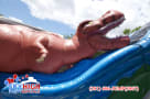 Houston T-Rex Inflatable