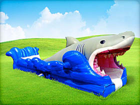 Inflatable shark themed water slide
