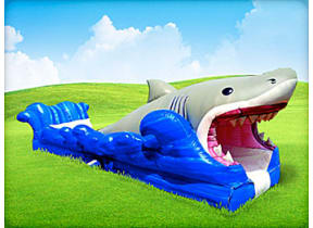 Inflatable shark themed water slide