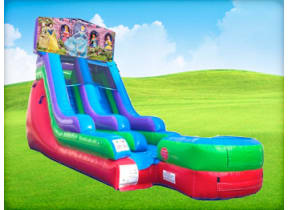 15ft Disney Princess Retro Wet/Dry Slide