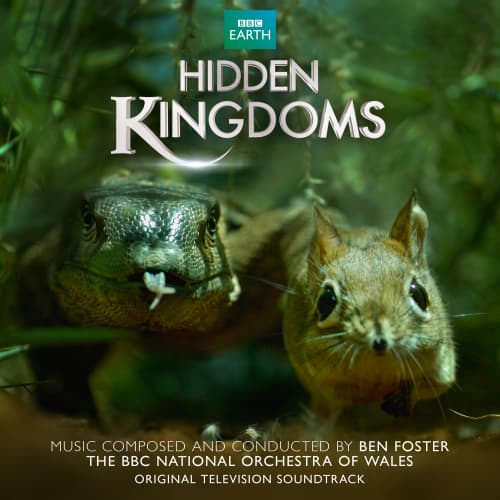 Scorpion Mouse (From &quot;Hidden Kingdoms&quot;)