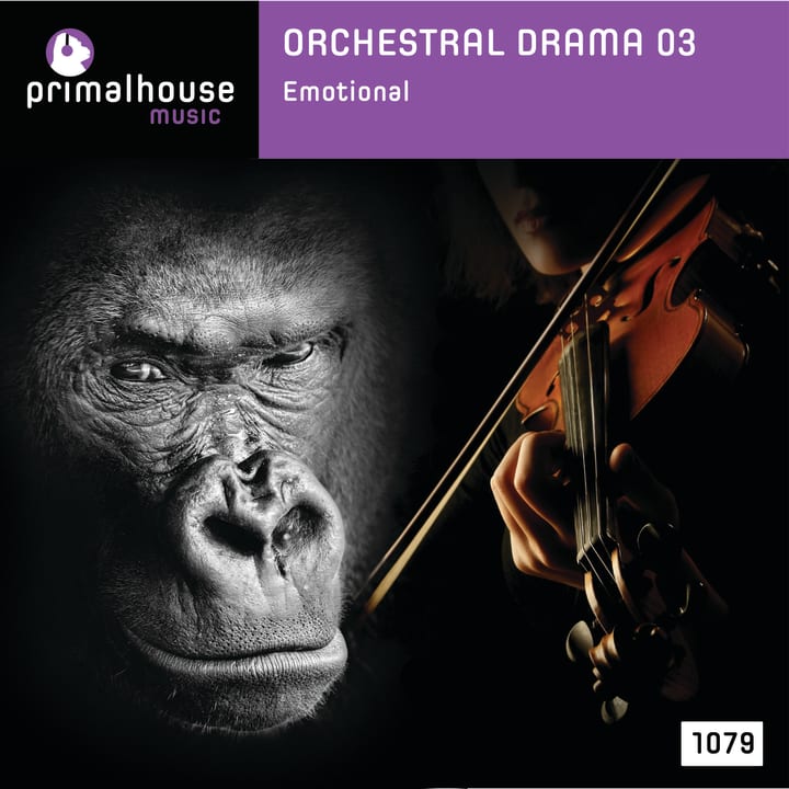 Ripples On The Water