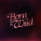 Born to Be Wild (Steppenwolf Cover) (Background Vocal)