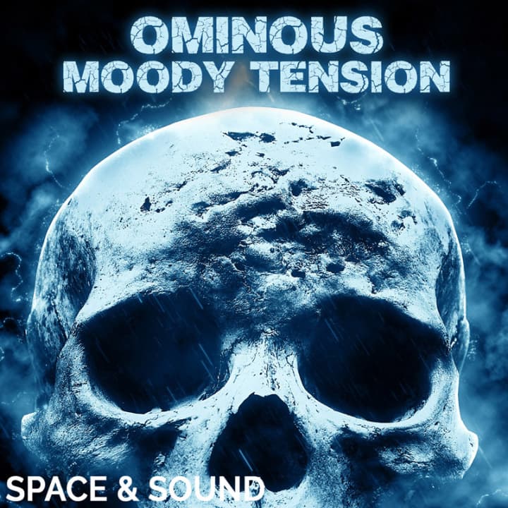 Sas Psychosis Revisited