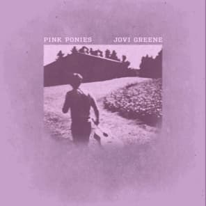 Pink Ponies (Instrumental)