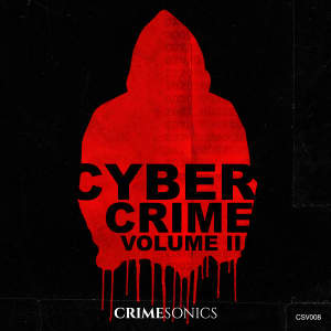 Cyber Crime Expert