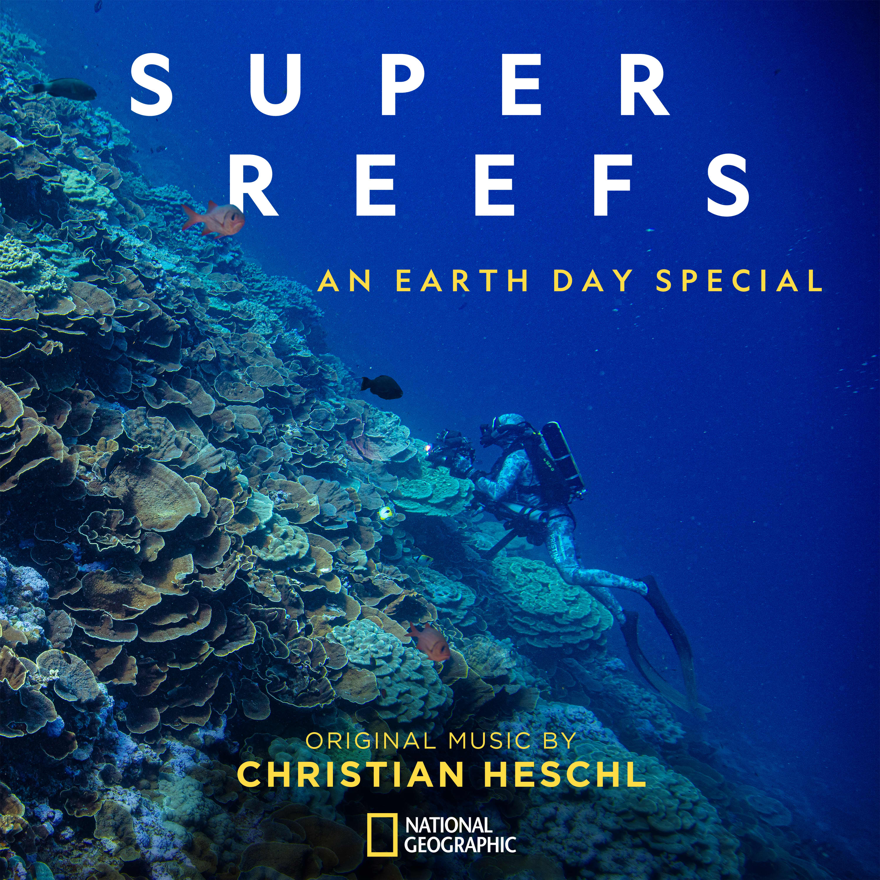 This is a Super Reef!