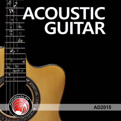 Acoustic Guitar