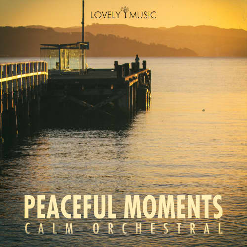 Peaceful Moments - Calm Orchestral