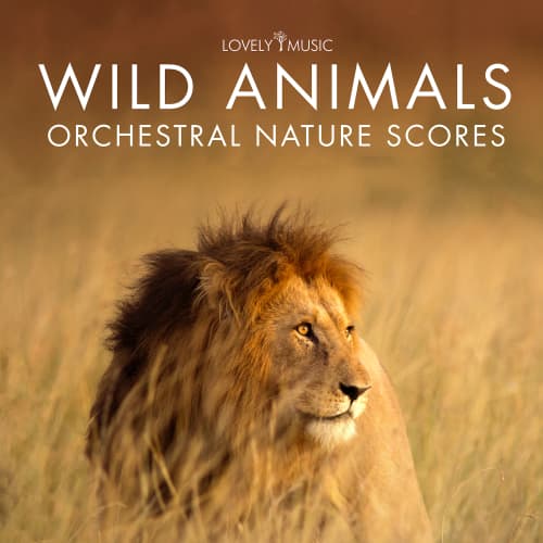 Wild Animals - Orchestral Nature Scores