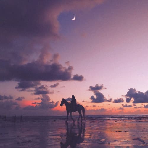 Sun (Rise) (Instrumental)