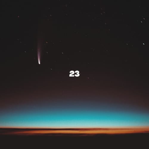 23