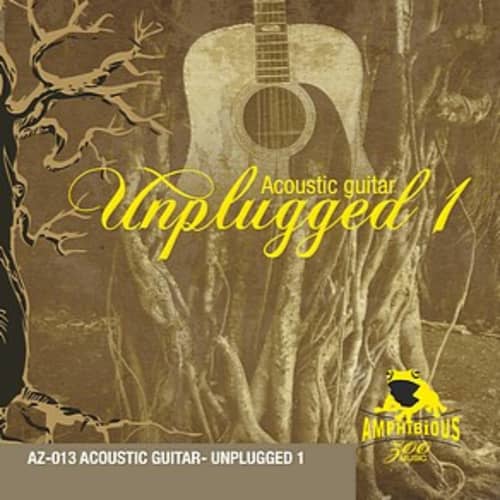 Unplugged 1 - Acoustic Guitar