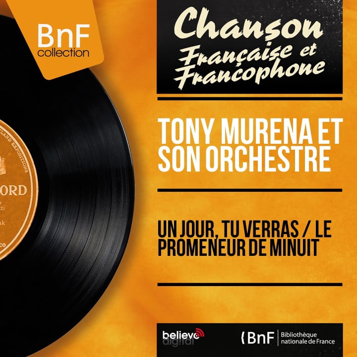 Le promeneur de minuit
