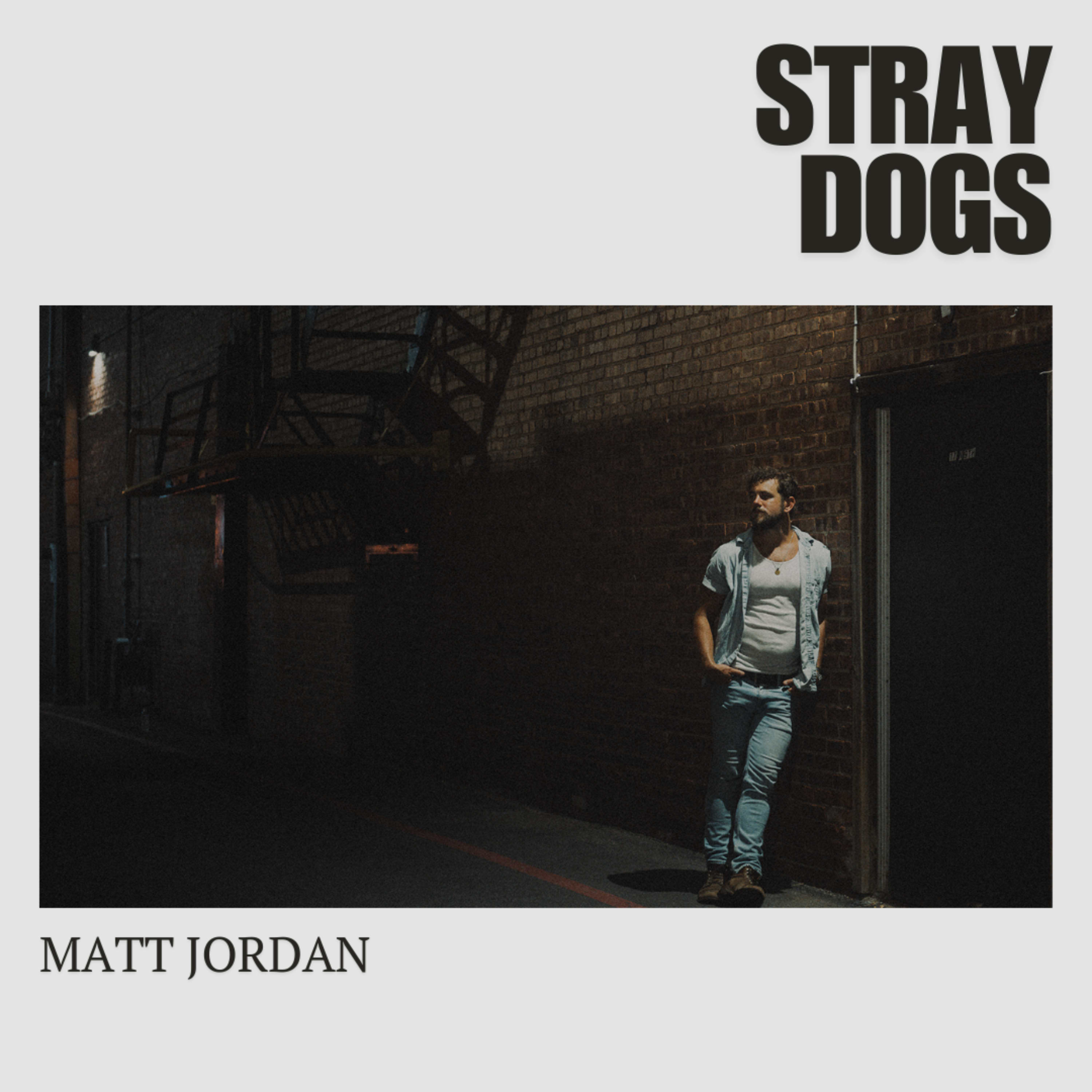 Stray Dogs