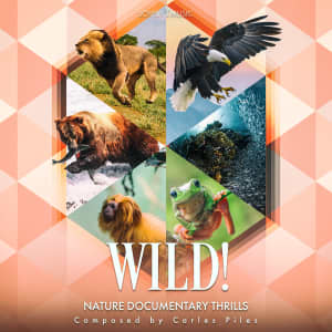 Wild! Nature Documentary Thrills
