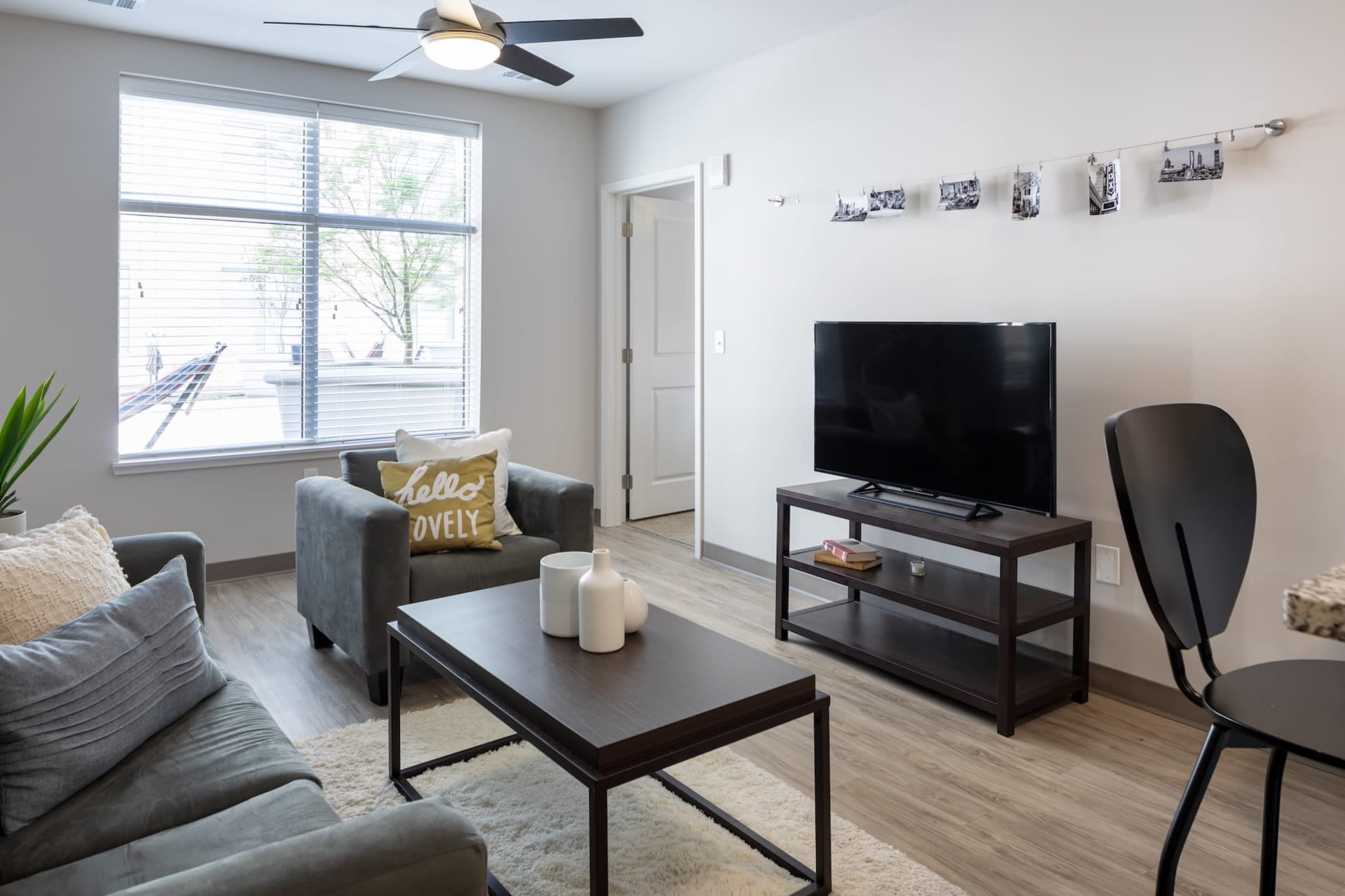 Apartment Amenity