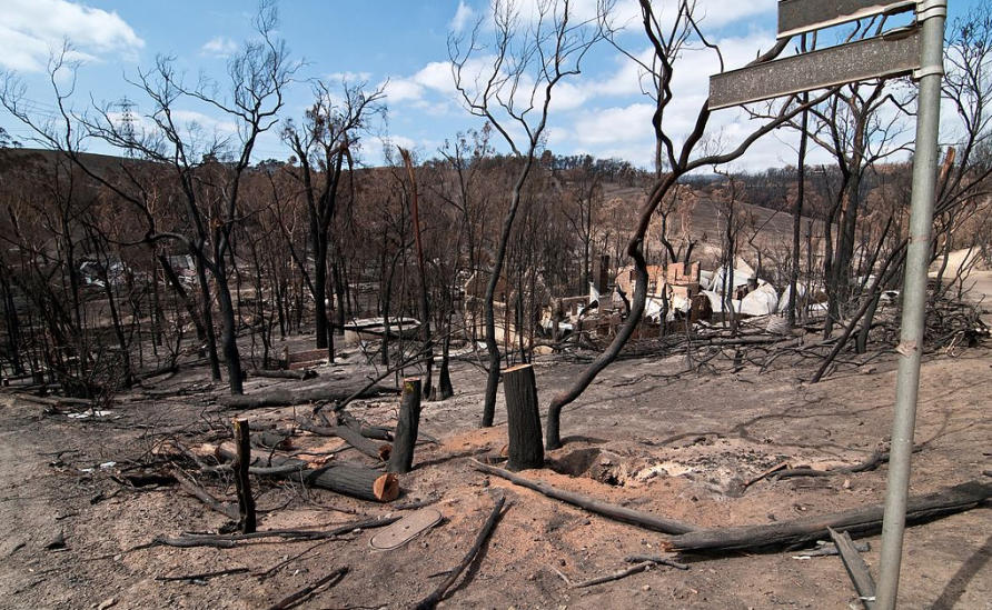 Why We Must Be Ready For Bushfires This Summer Pursuit By The 