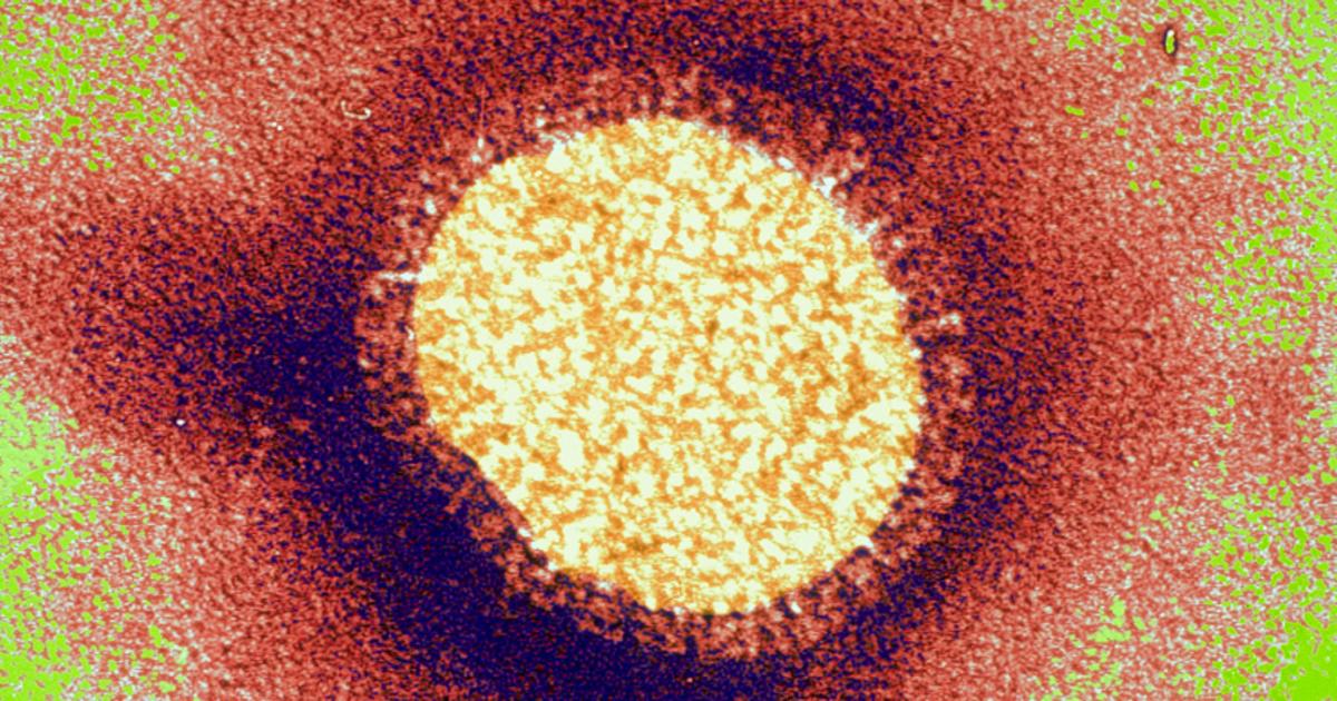 Forecasting flu outbreaks Pursuit by The University of Melbourne