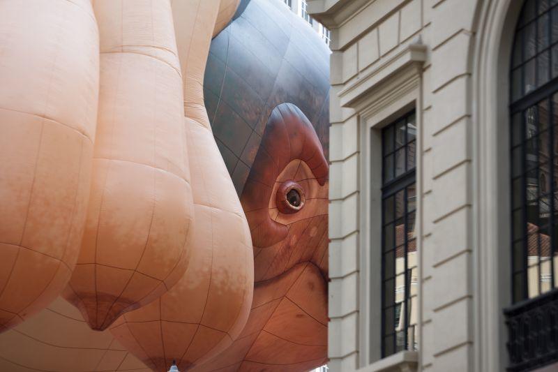 Beautiful And Unsettling The World Of Artist Patricia Piccinini 