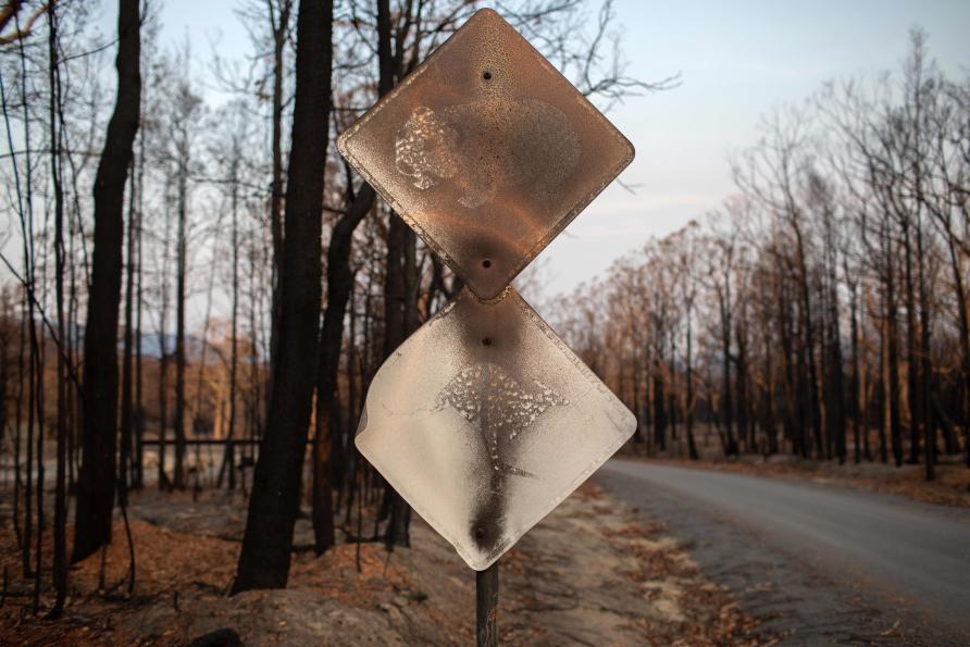 The Burning Of Australias Nature Pursuit By The University Of Melbourne 8528