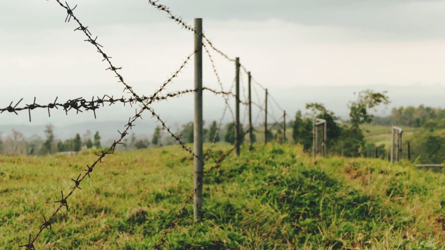 Marginal Development – States, Markets and Violence in Drug-Affected Borderlands