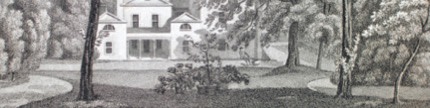 Problems with Plants: Symbolic and Cultural uses of Plants and Flowers in the 18th Century