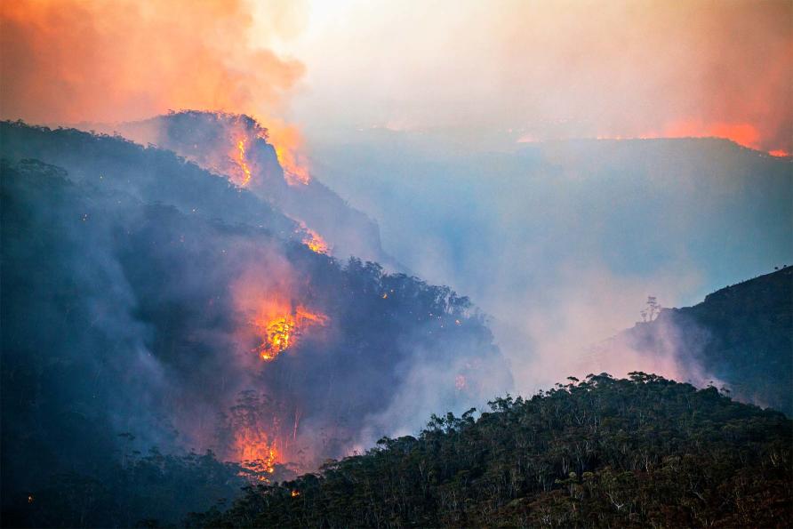 As We Head Toward Summer Let s Rethink Australia s Bushfire Risk 