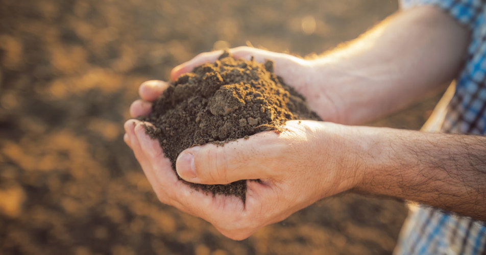 Soils as Living Systems