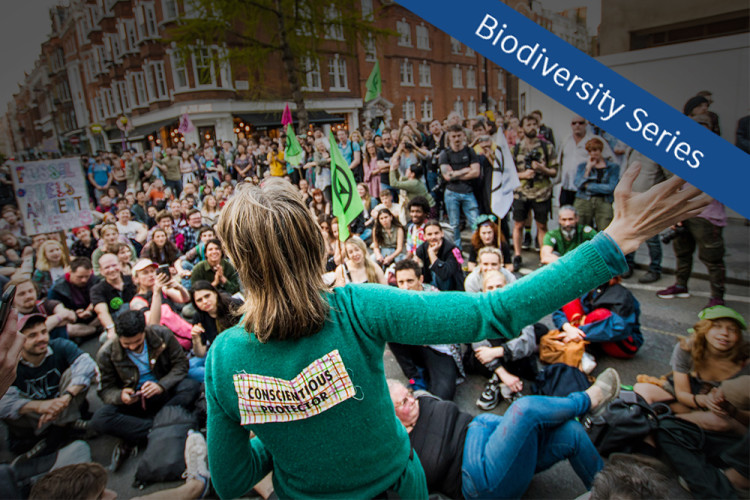 Averting Climate Catastrophe: Extinction Rebellion, Business and People Power