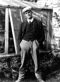 Joyce and Critical Theory