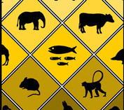 Roll Up: Animals, Art and Ethics