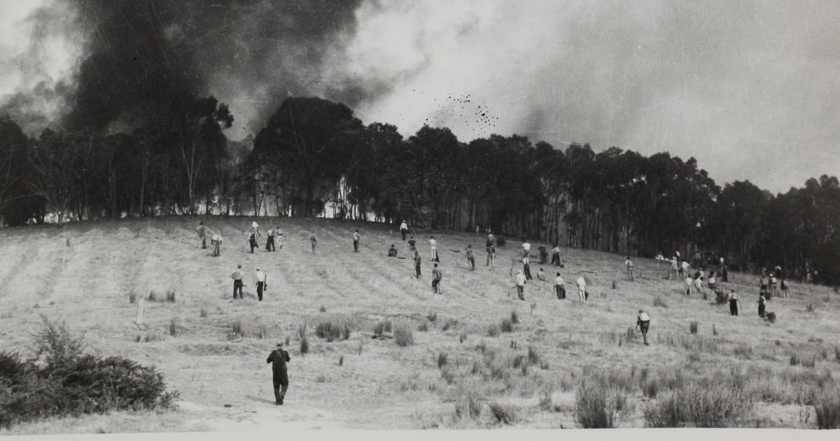Our savage history of fighting bushfires Pursuit by The University of Melbourne
