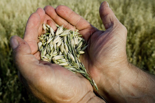 Feed the World: Q&A panel and exhibition