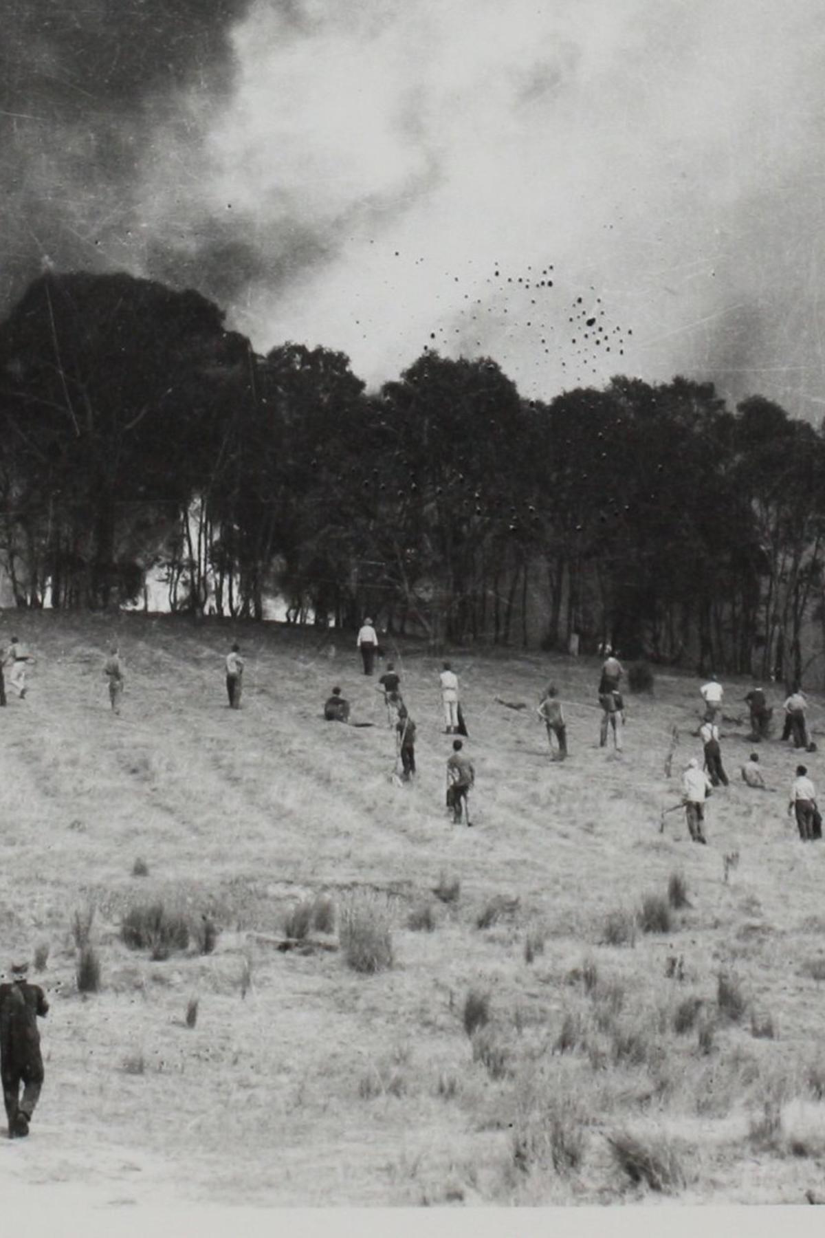 Our Savage History Of Fighting Bushfires Pursuit By The University Of Melbourne
